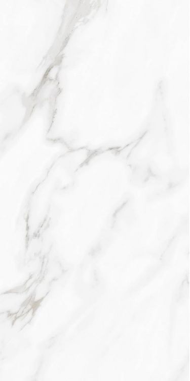 Carenza Bianca Polished 12 x 24